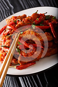 Schezwan chickenÂ orÂ szechuan chickenÂ is a popular appetizer from the Chinese cuisine close-up on a plate. vertical